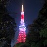 さぼりーん profil fotoğrafı