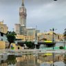 عبدالفتاح's profile picture