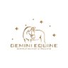 GeminiEquine's profile picture