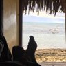 Фото профиля julien tahiti🤙🏼🏝☀️