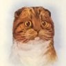 二郎MAX's profile picture