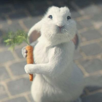 lepa_sargarepa's profile picture