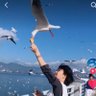 千山鸟飞绝 profil fotoğrafı