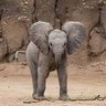 Фото профиля Bengt Svensson 🐘