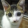 caram profil fotoğrafı