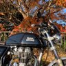 こまわりさん's profile picture