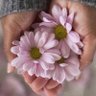 زخات المطر🤍 profil fotoğrafı