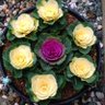 Фото профиля みんな元気にしてるー?!
