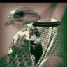 #Abdullah ✌️🇸🇦✌️'s profile picture