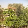 oasis-Agriculture profil fotoğrafı