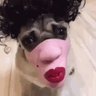 Profilbild von Donald_Stott