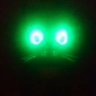 Profilbild von Margus