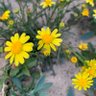 Фото профиля تغريدات من اختياري