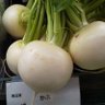 うなぽん 的头像