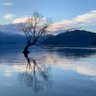 CHLFOREVER profil fotoğrafı