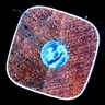 Profilbild von John Eisenman (Jice)