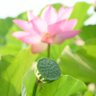 Daolai 的头像