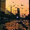 Фото профиля صور للمسجد النبوي