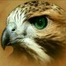 nader.........'s profile picture