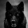 Profilbild von HAS