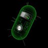 Profilbild von ComputingCell