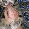 રેગનર profil fotoğrafı