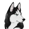 VoltiBusby's profile picture