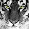 Wayne24z's profile picture