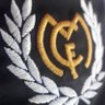 NOI SIAMO VIKINGHI's profile picture