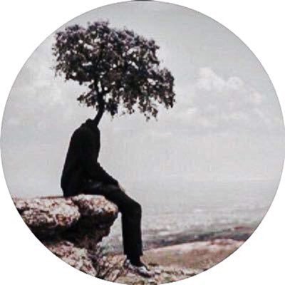 مُتهكم's profile picture