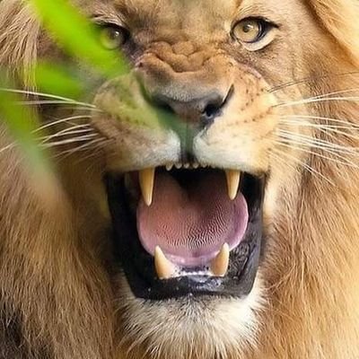 Dan_Ussyy's profile picture