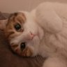 Sevgi Solak🌳🌼🐱 profil fotoğrafı