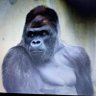 Gary Armstrong profil fotoğrafı