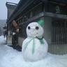 よだか 的头像