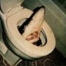 Calc's profile picture