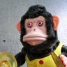 masira's profile picture