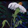 Фото профиля Floripondia