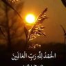 Фото профиля Ali Faheem