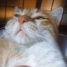 Profilbild von キングヒロ777
