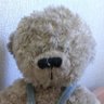 Teddy Bear 的头像