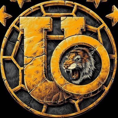 PerfilTigre's profile picture