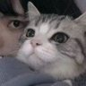 Profilbild von 娘口三三