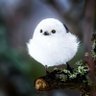jstwatusay profil fotoğrafı