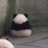 Profilbild von Tantoper