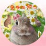 Фото профиля うさぎのちゃっぴー