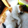 Фото профиля なかたかな？