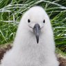 Profilbild von Thisisit