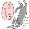 ルッコラ 的头像