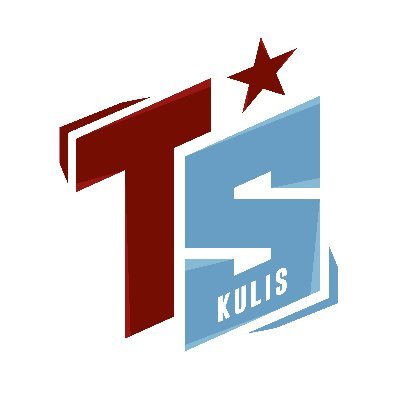 tskulis61's profile picture