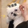 Profilbild von 大肉包